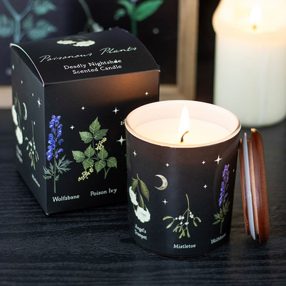black deadly nightshade scented candle
